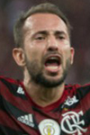 Ribeiro